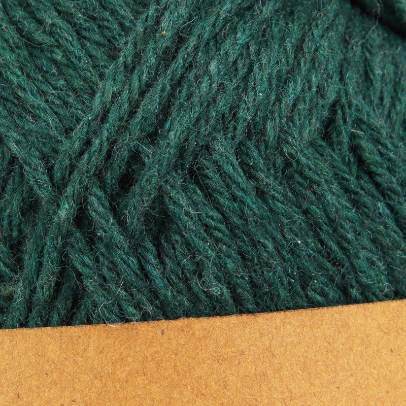 Woolly-Forest