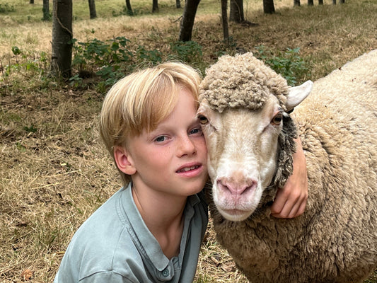 Together with his favourite Merino Hinne